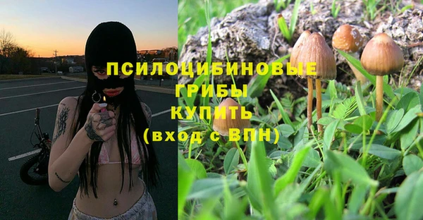 мдпв Абдулино