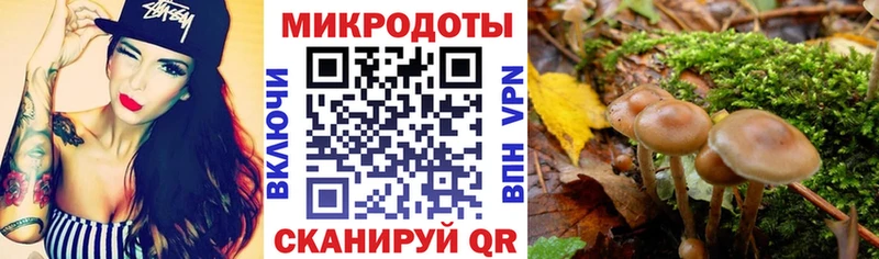 MEGA сайт  Чулым  Псилоцибиновые грибы ЛСД 